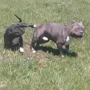 Meet your Posher, Shannon